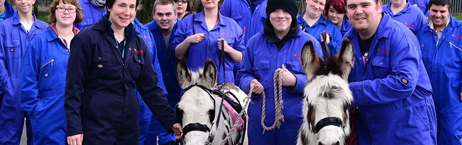 Animal management students with a donkeys